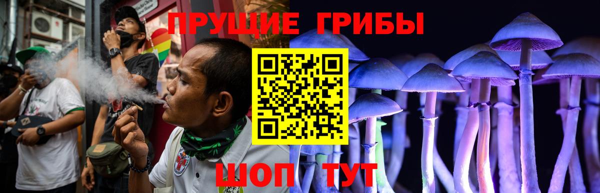 Нефтекумск  Галлюциногенные грибы Psilocybine cubensis  Вход с VPN 